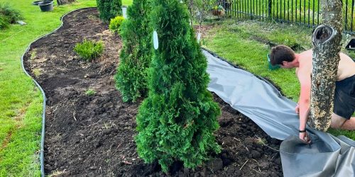 Mulch Installation