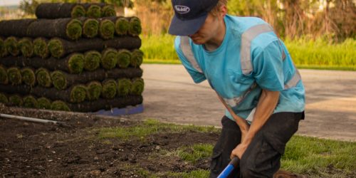Sod Installation